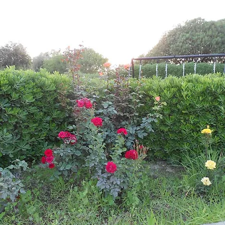 Holiday home Sea Maridina *